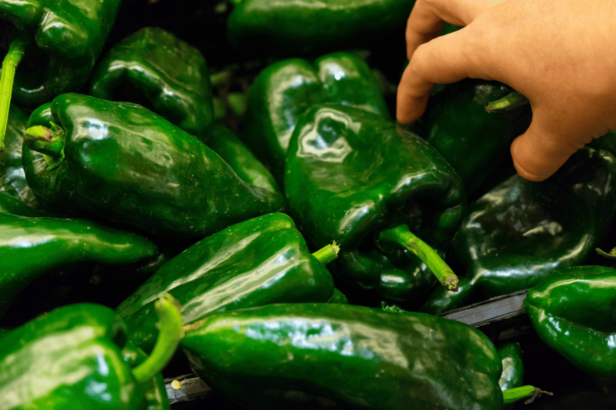 How to Freeze Poblano Peppers for Year-round Freshness